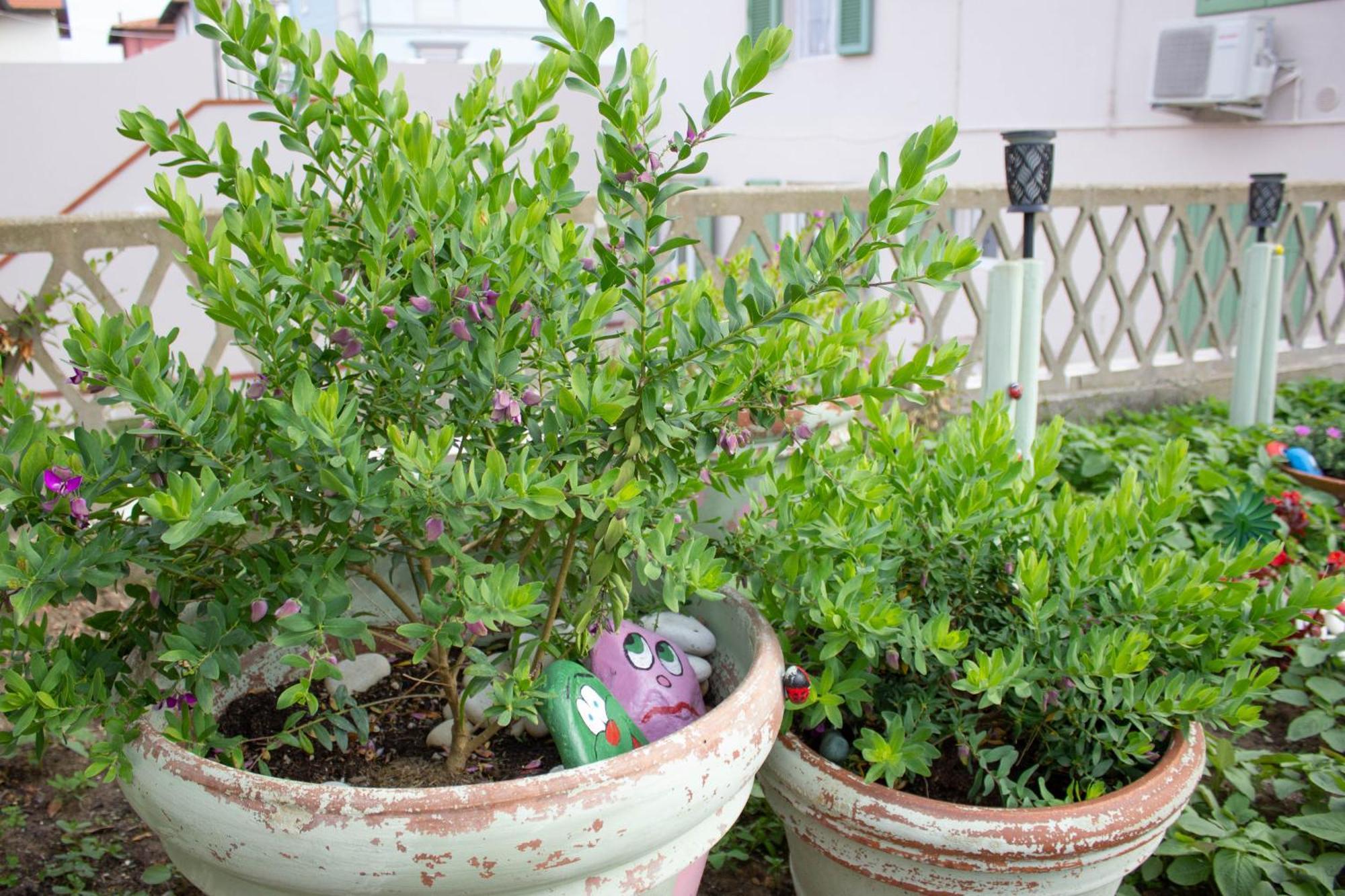 La Coccinella Appartement Marina Di Pisa Buitenkant foto